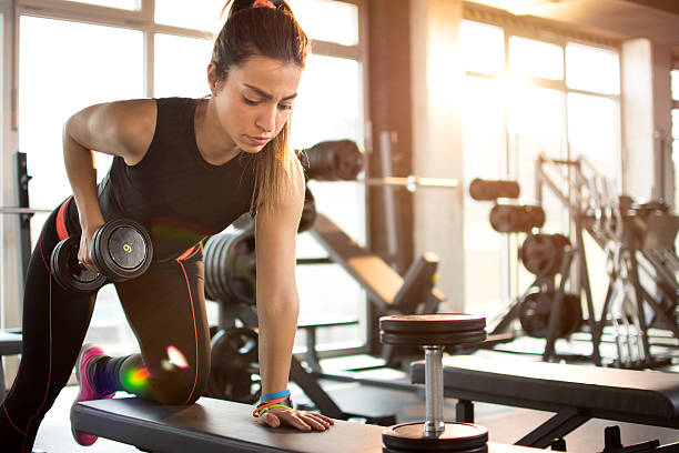 FitZone Gym